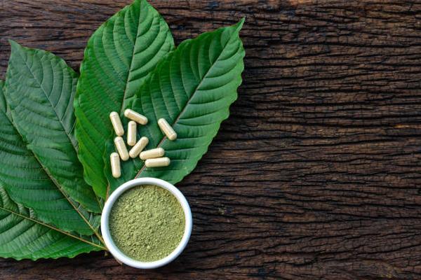 Is Kratom the New Super Herb? A Deep Dive into Its Popularity and Potential